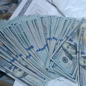 Meet your Posher, Willard